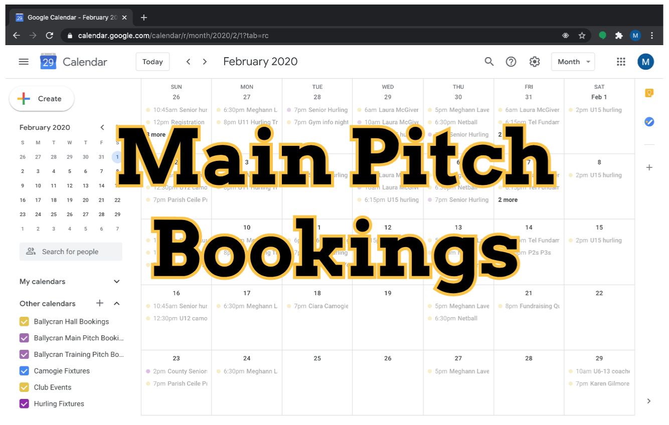 Main Pitch Bookings