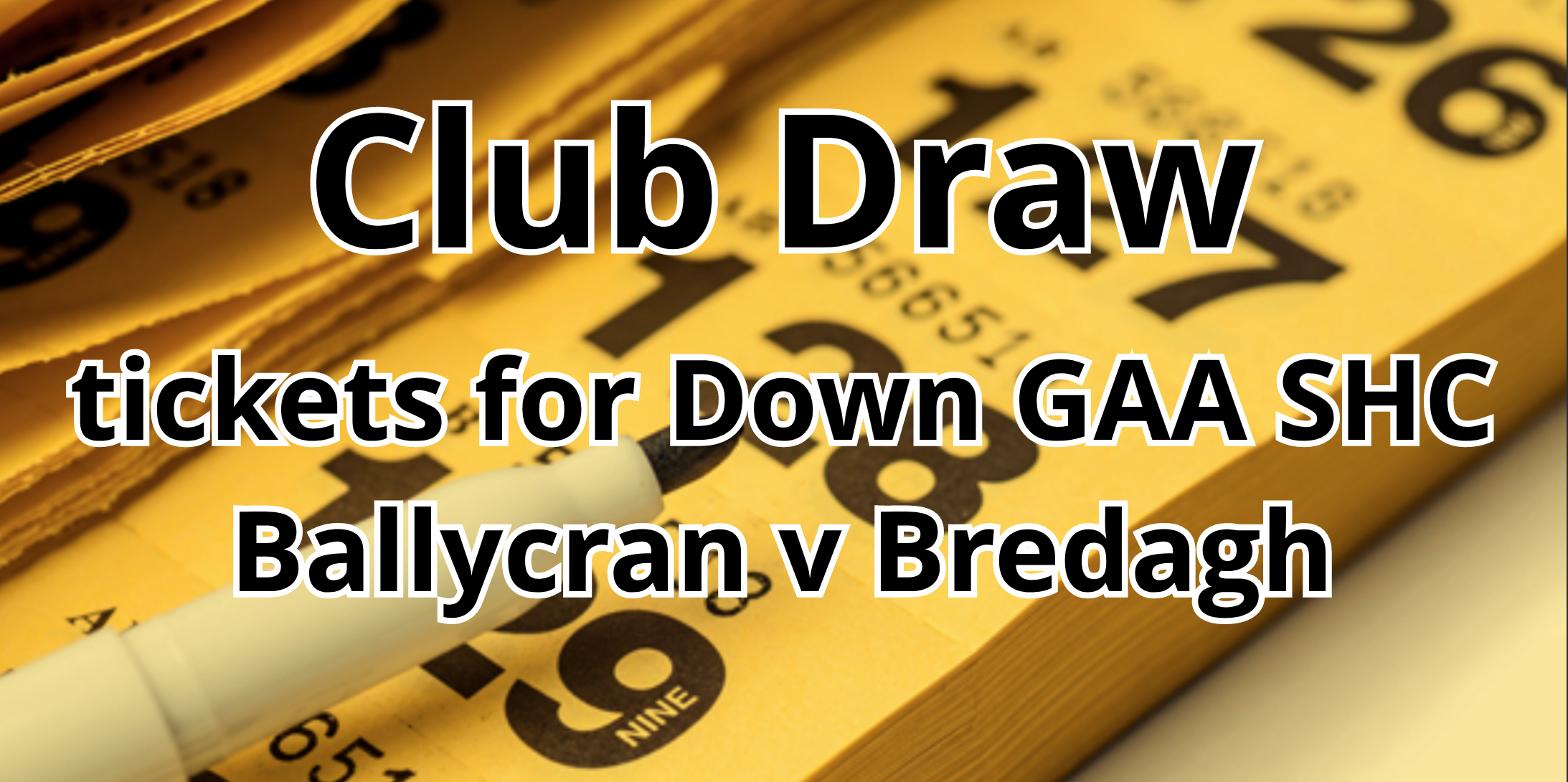 Ticket draw results for the Down SHC game between Ballycran v Bredagh