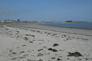 Cloughey beach