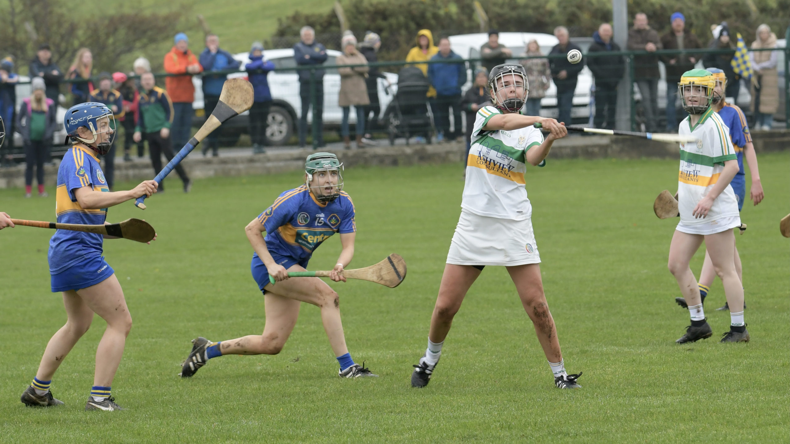 Down Camogie Senior Championship sees an historic win for Portaferry