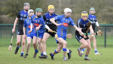 Ballycran lads take a knock in the Forresters Cup semi final